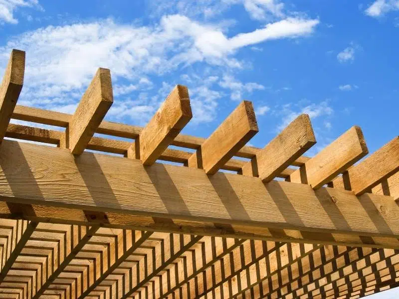 Timber pergola